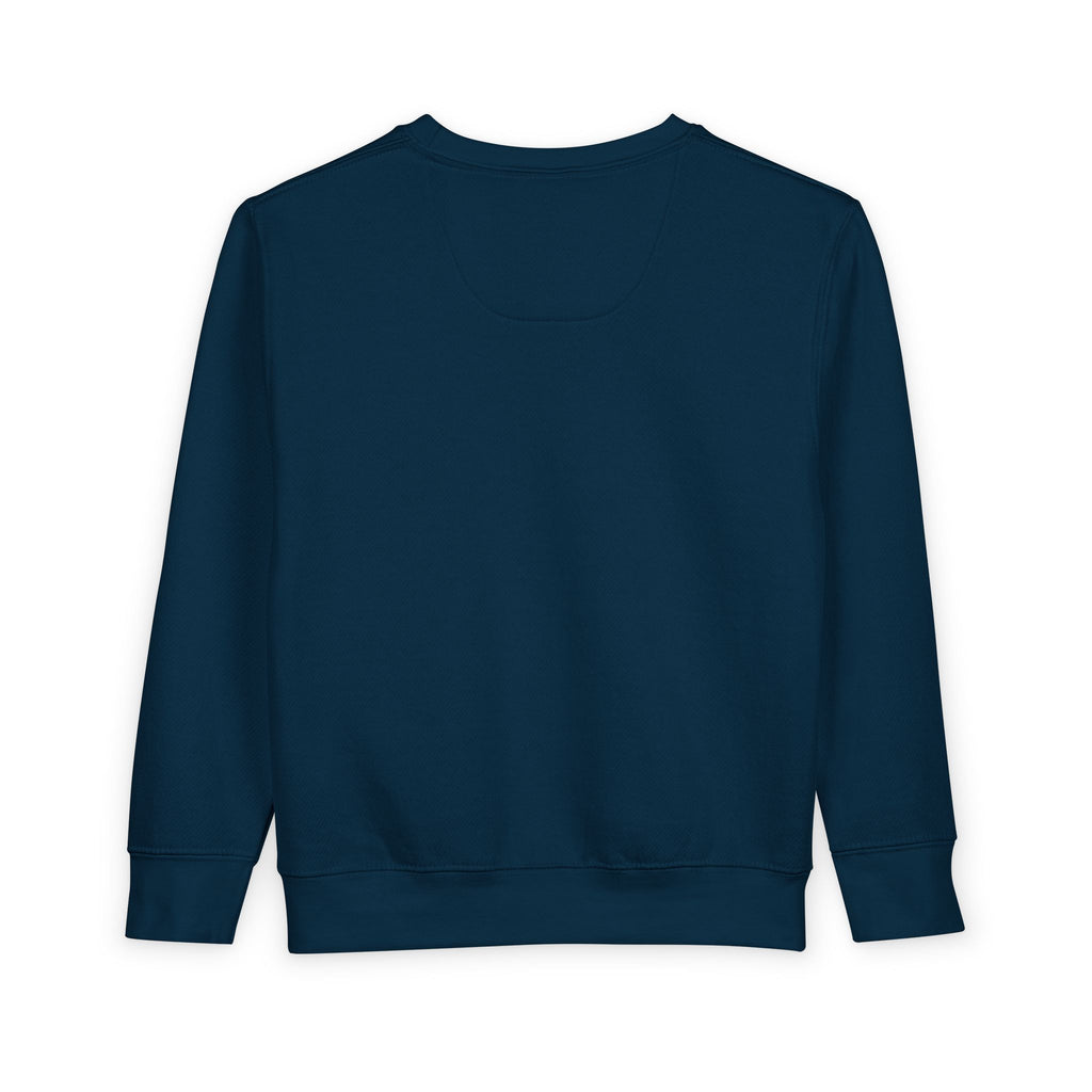 Toddler Sweatshirt — Fire Island NY Fox Graphic Kids Pullover