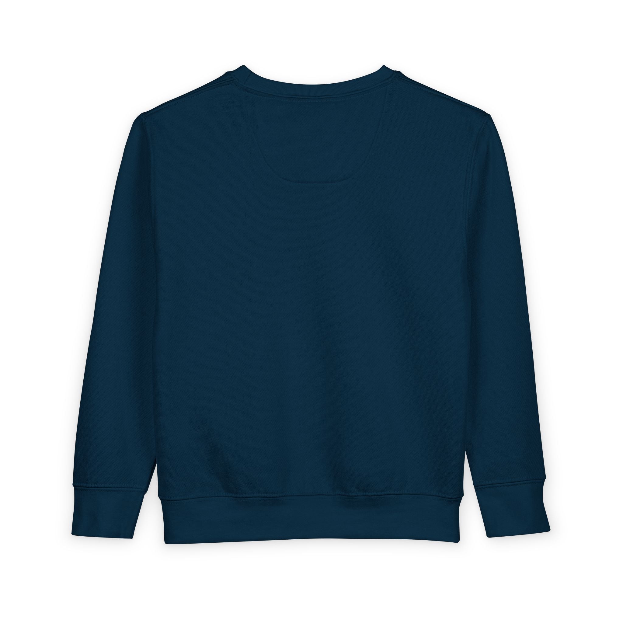 Toddler Sweatshirt — Fire Island NY Fox Graphic Kids Pullover