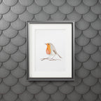 Framed Fine Art Print of a Robin - Elegant Bird Wall Decor, Nature Art, Home Decor, Gift for Bird Lovers, Wall Art