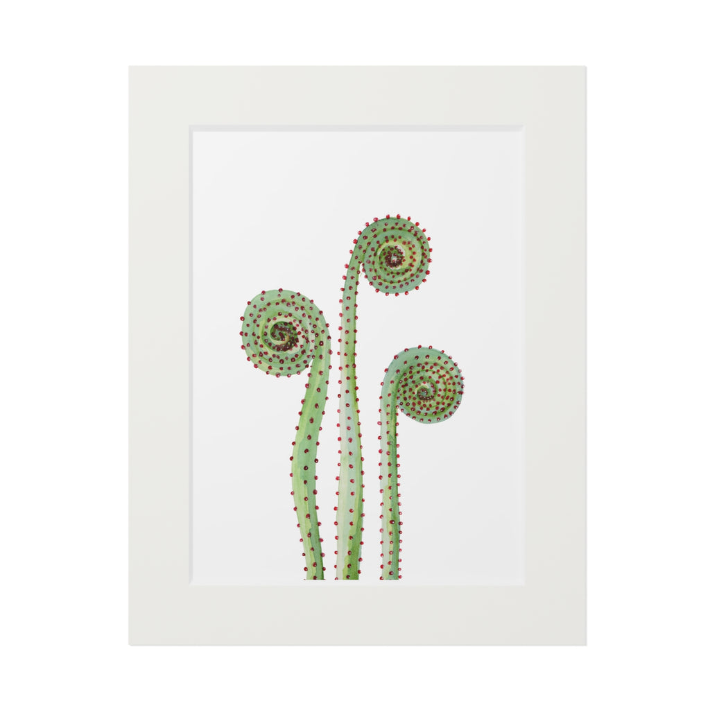 Fiddle Heads Watercolor Print