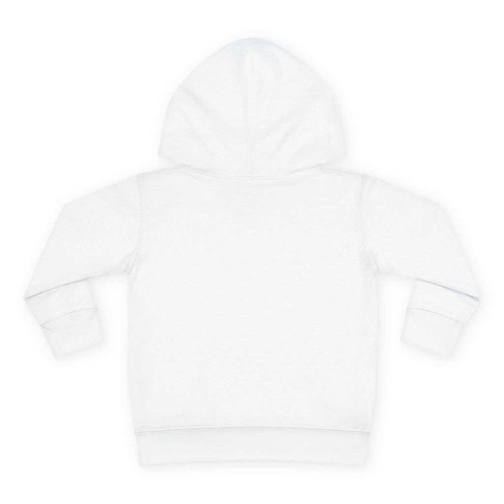 Toddler Hoodie – Fire Island Turtle Pullover