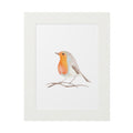 Framed Fine Art Print of a Robin - Elegant Bird Wall Decor, Nature Art, Home Decor, Gift for Bird Lovers, Wall Art