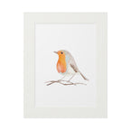 Framed Fine Art Print of a Robin - Elegant Bird Wall Decor, Nature Art, Home Decor, Gift for Bird Lovers, Wall Art